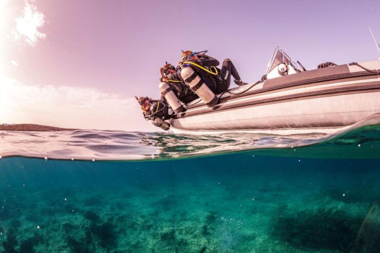 Half Day Dive Trip for Certified Divers - Trip Overview