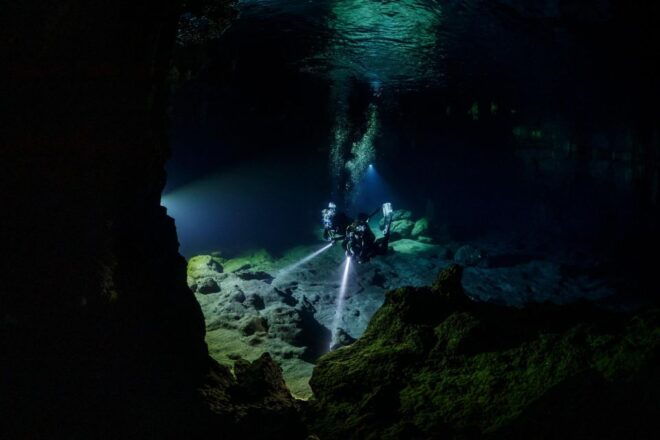 Half Day Dive Trip for Certified Divers - Instructor Details