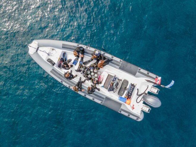 Half Day Dive Trip for Certified Divers - Group Size Limit