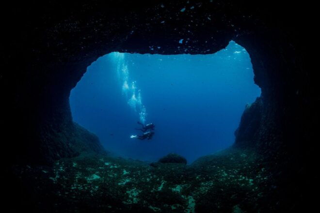 Half Day Dive Trip for Certified Divers - Dive Highlights