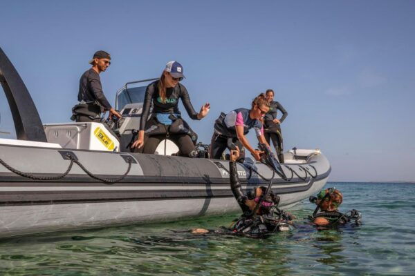 Half Day Dive Trip for Certified Divers - Booking and Cancellation