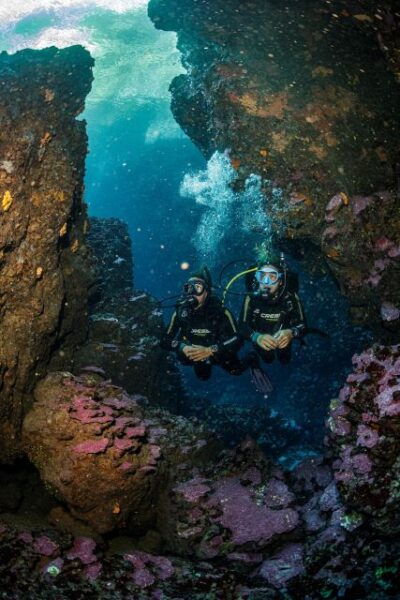 Half Day Dive Trip for Certified Divers - Frequently Asked Questions