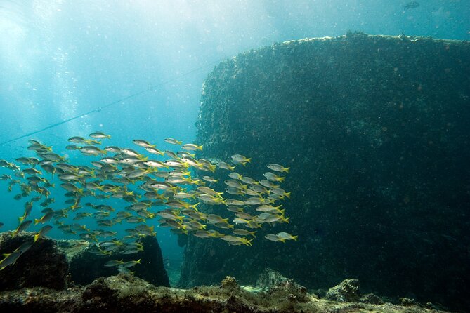 Half-Day Diving in Sal - Benefits of Half-Day Diving in Sal