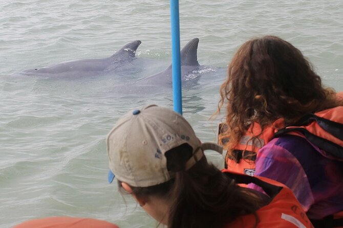 Half-Day Dolphin and Bird Watching in the Mangrove Forest of Puerto Del Morro - Operator Information