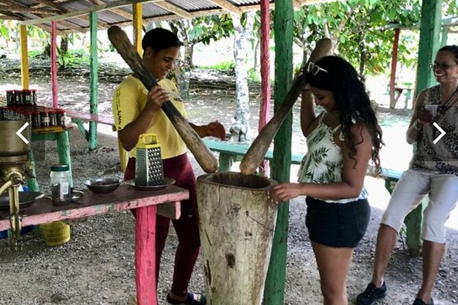 Half Day Dominican Republic Cultural Tour - Tour Highlights