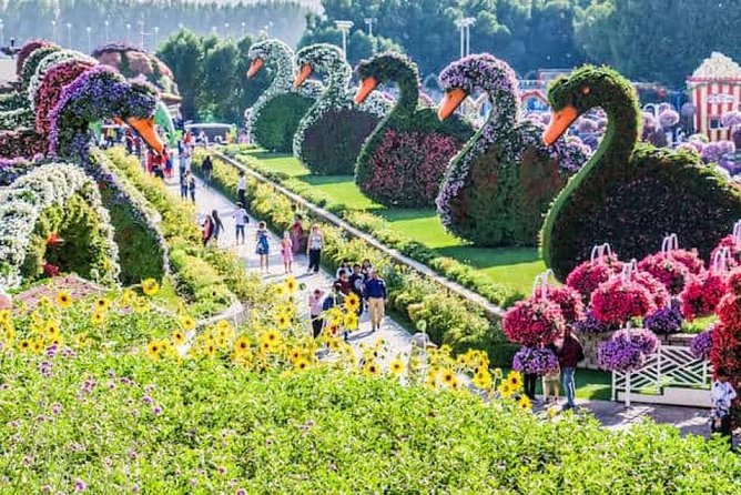 Half Day Dubai City Tour With Dubai Miracle Garden Visit ! - Tour Overview and Highlights