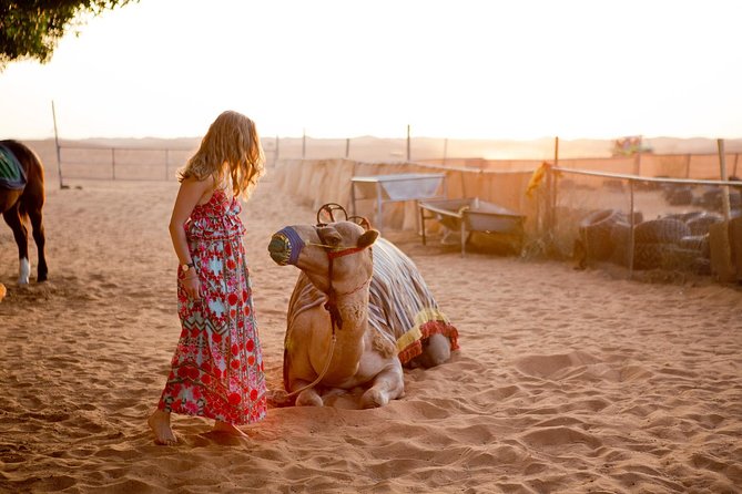 Half-Day Dubai Desert Safari With 7 Live Shows and BBQ Dinner - Dune Bashing and Sandboarding Adventure