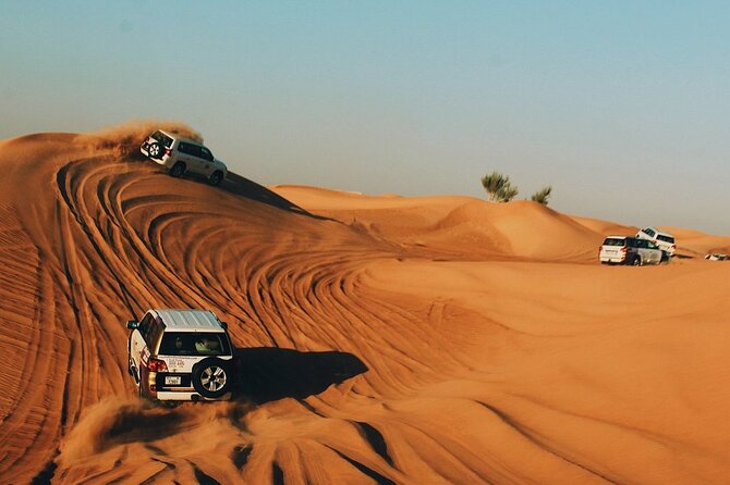 Half-Day Dubai Dunes Desert Safari Experience - Cancellation Policy