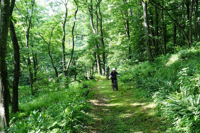 Half Day E-Bike Adventure Tour in Nagano - Accessibility Information