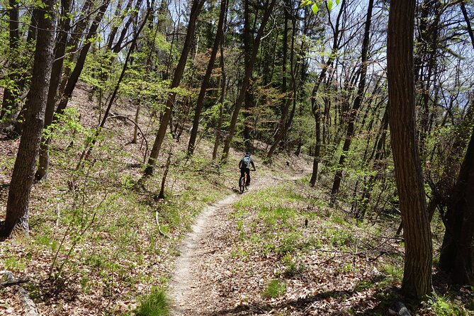 Half Day E-Bike Adventure Tour in Nagano - Cancellation Policy