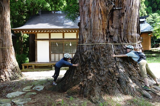 Half Day E-Bike Adventure Tour in Nagano - Questions and Contact Details