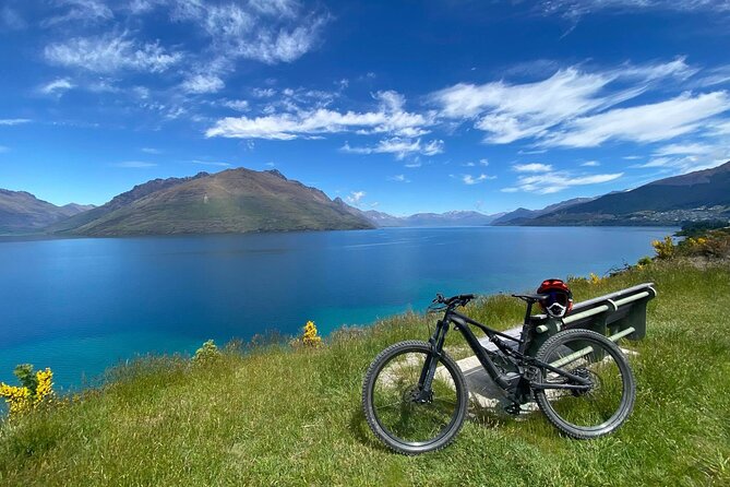 Half-Day E-Bike Rental in Queenstown - Overview and Experience