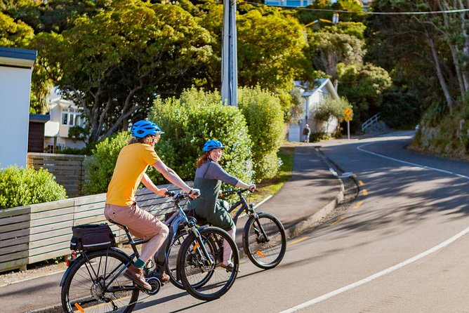 Half-Day E-Bike Rental With Helmet and Map, Wellington - Price and Booking Details