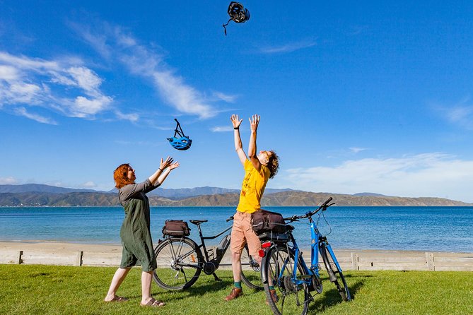 Half-Day E-Bike Rental With Helmet and Map, Wellington - Traveler Photos and Reviews