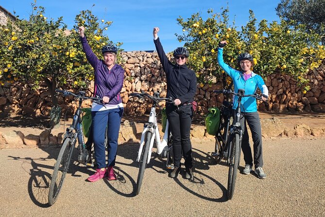 Half-Day E-Bike Tour Around the Hexenberg - Hexenberg E-Bike Tour Overview
