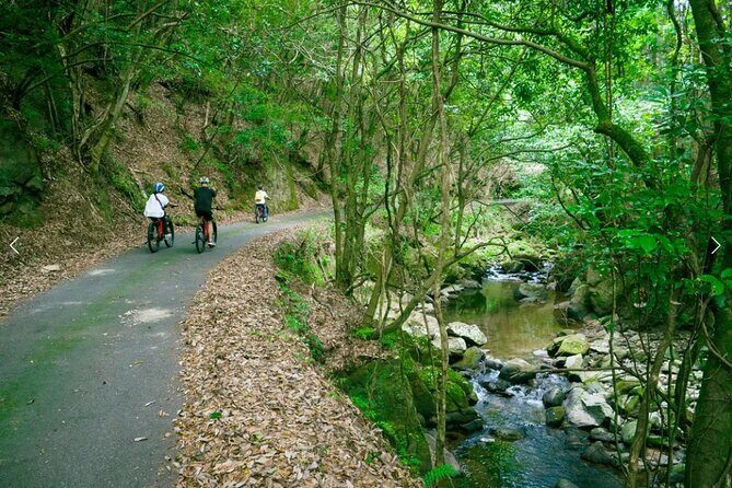Half Day E Bike Tour in Kasagi Countryside - Exploring the Kasagi Countryside on an E-Bike: A Practical Guide