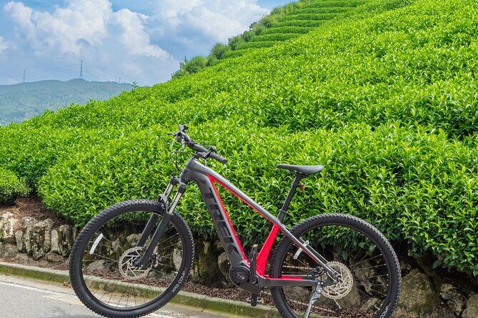 Half Day E Bike Tour in Kasagi Countryside - FAQs