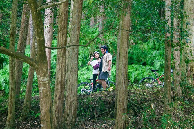 Half Day E Bike Tour in Kasagi Countryside - An Authentic Look at the Kasagi Countryside