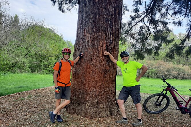 Half-Day E-Bike Tour Through Buda Hills to the Top of Budapest - Booking Process