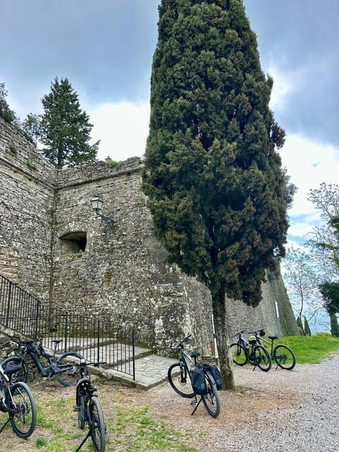 Half Day E-Bike Tour to Highlights Around Cortona - Participant Information