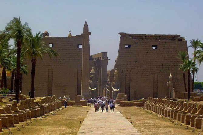 Half Day East Bank Tour to Luxor and Karnak Temples - Tour Highlights