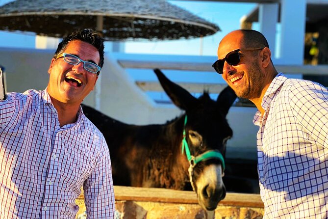 Half Day Easy and Fun Taste of Santorini - Common Questions