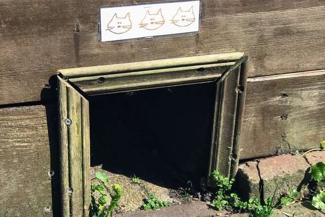 Half-Day Edam and Volendam Private Walking Tour From Amsterdam - Inclusions and Meeting Details