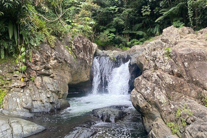 Half-Day El Yunque and Waterslides Adventure from Fajardo - The Experience: What to Expect