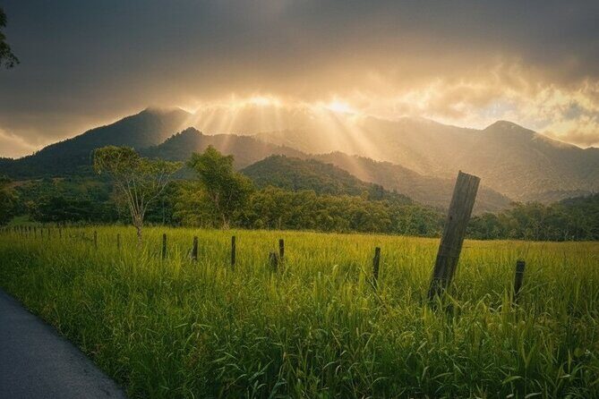 Half Day El Yunque Tour, Waterslide and Rope Swing - Good To Know