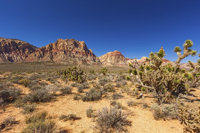 Half-Day Electric Bike Tour of Red Rock Canyon - Tour Overview and Route Details