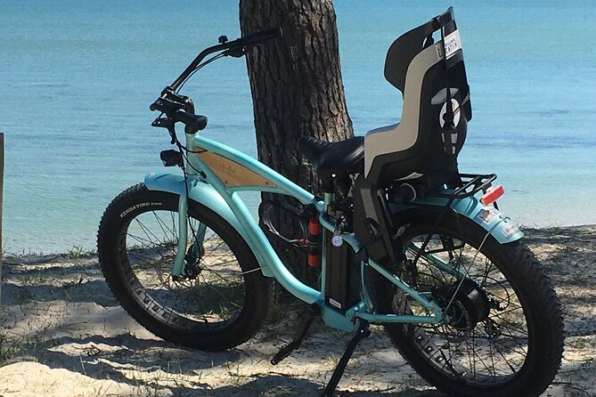 Half Day Electric Fatbike Guided by GPS - Private Tour and Operator Information