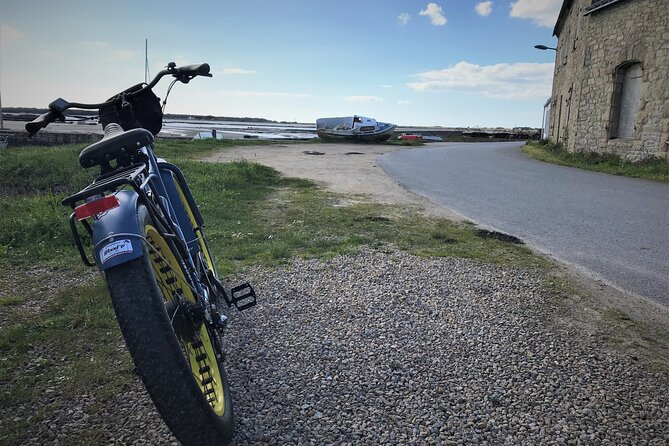 Half Day Electric Fatbike Guided by GPS - Cancellation Policy and Weather Conditions