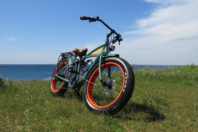 Half Day Electric Fatbike Guided by GPS - Reviews and Customer Feedback