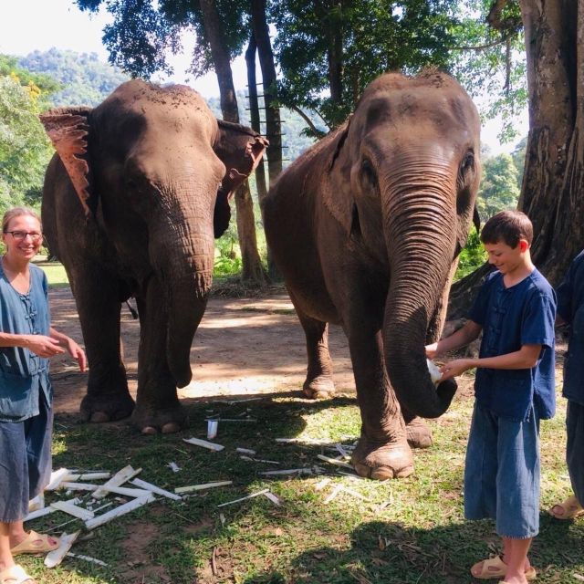 Half Day Elephant Care - Activity Details