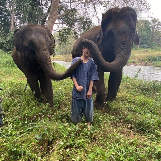 Half Day Elephant Care - Experience Itinerary