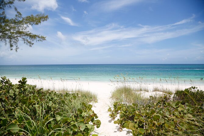 Half Day Eleuthera Private Land Tour - Inclusions