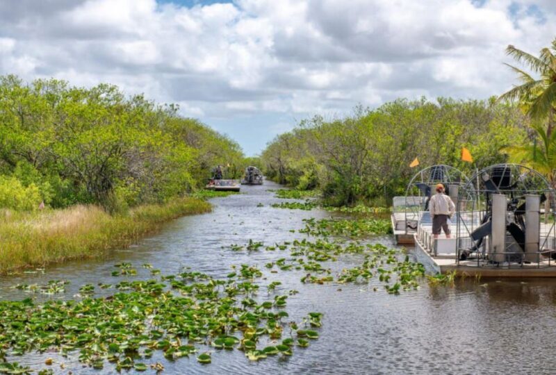 Half-Day Everglades Airboat Tours and Transportation - Real Traveler Insights
