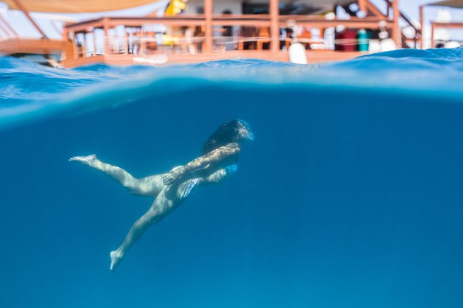 Half-Day Excursion to Fijis Cloud 9 With Transfers  - Viti Levu - Pricing and Value