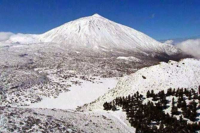 Half Day Excursion to Teide National Park - Tenerife - Transportation