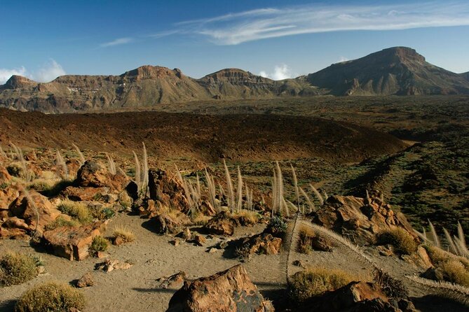 Half Day Excursion to Teide National Park - Tenerife - Park Exploration