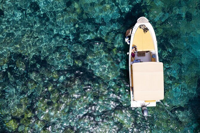 Half Day Excursion to the Marine Reserve of Marettimo - The Sum Up