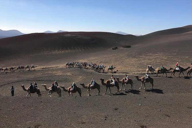 Half Day Excursion to the Timanfaya National Park and the Volcanoes  - Lanzarote - Hassle-free Alternative to Car Hire