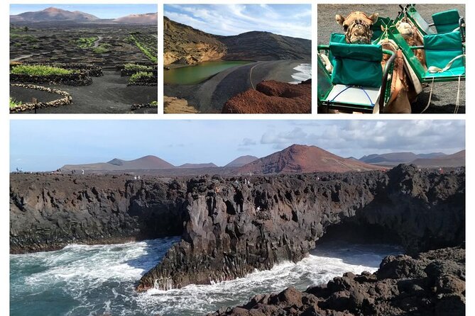 Half Day Excursion to the Timanfaya National Park and the Volcanoes  - Lanzarote - Highlights of the Tour