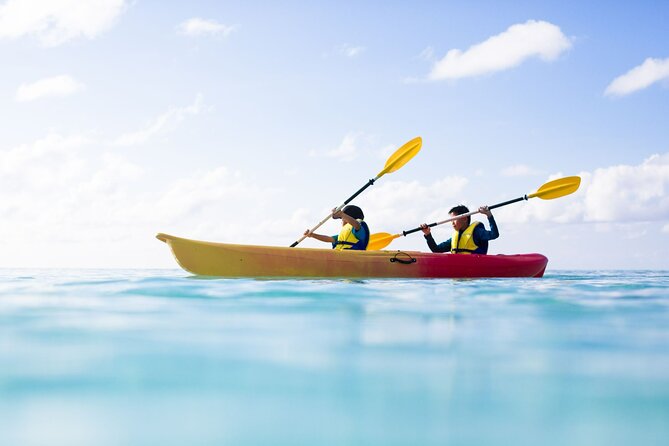 Half Day Experience in Tivua Private Island - Reviews