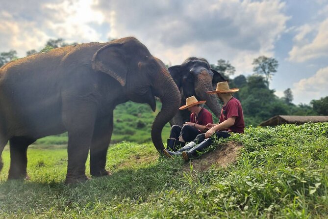 Half Day Experience Rescue Elephant Centre in Chiang Mai - Additional Information and Cancellation Policy