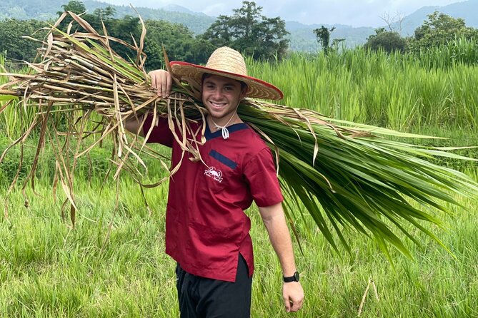 Half Day Experience Rescue Elephant Centre in Chiang Mai - Tour Price and Terms