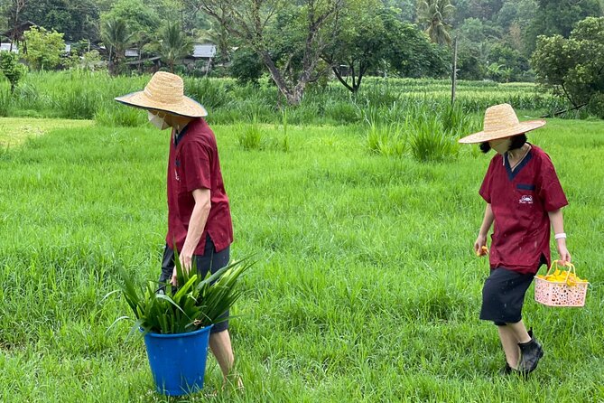 Half Day Experience Rescue Elephant Centre in Chiang Mai - Common Questions