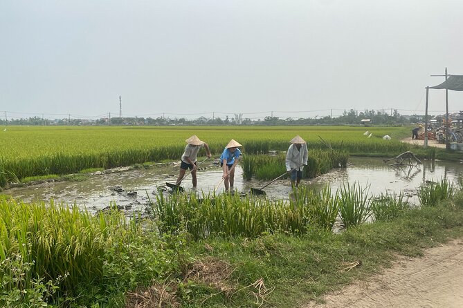 Half Day Exploring Hoi An Countryside In A Vespa - Reviews