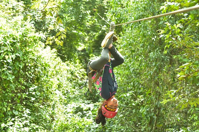 Half-Day Extreme Adventure Eco Park Tour in Puerto Morelos  - Cancun - Reviews and Testimonials