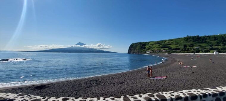 Half Day Faial Island Tour - What to Expect on the Day